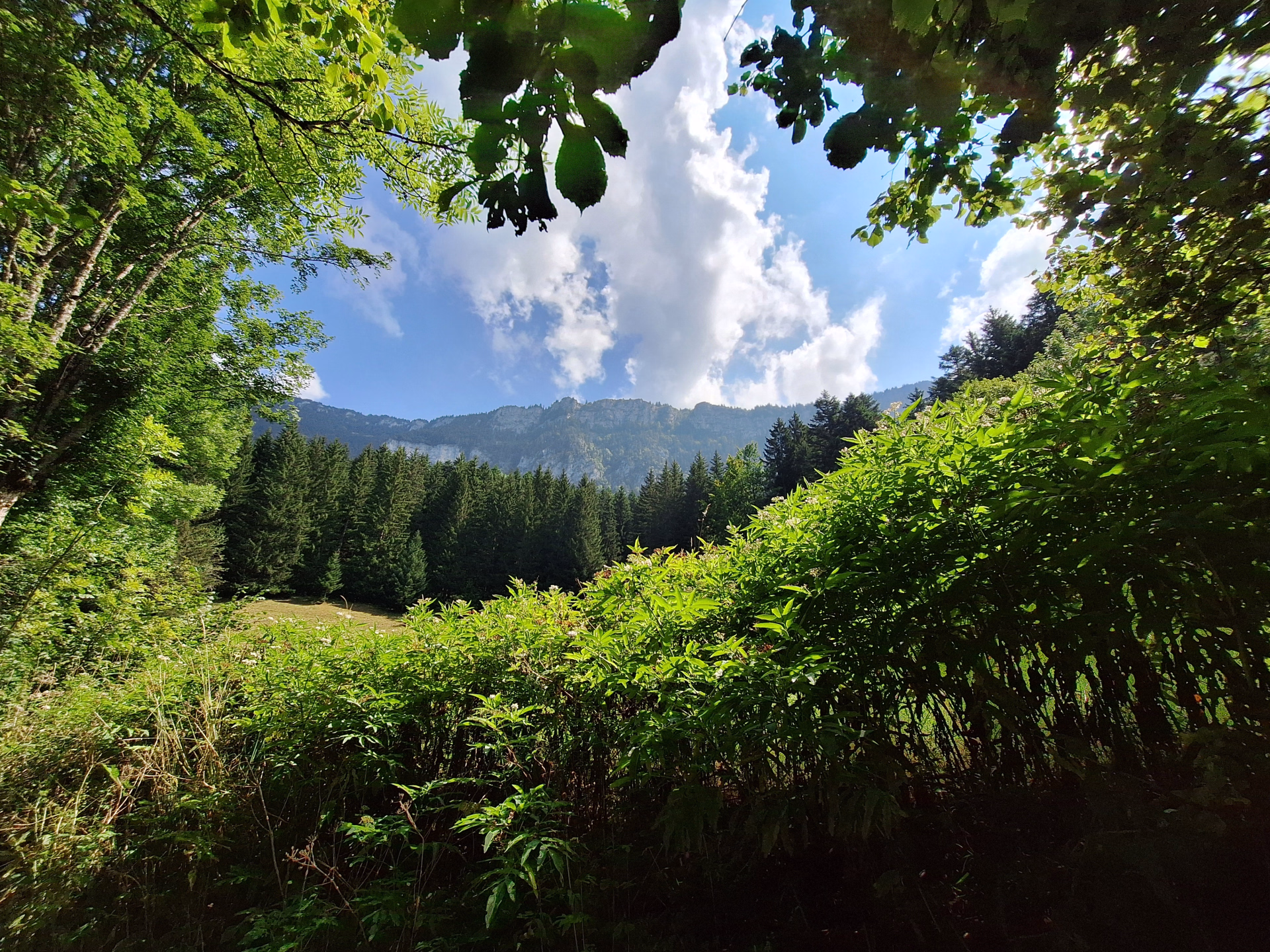 Randonnée dans les Alpes