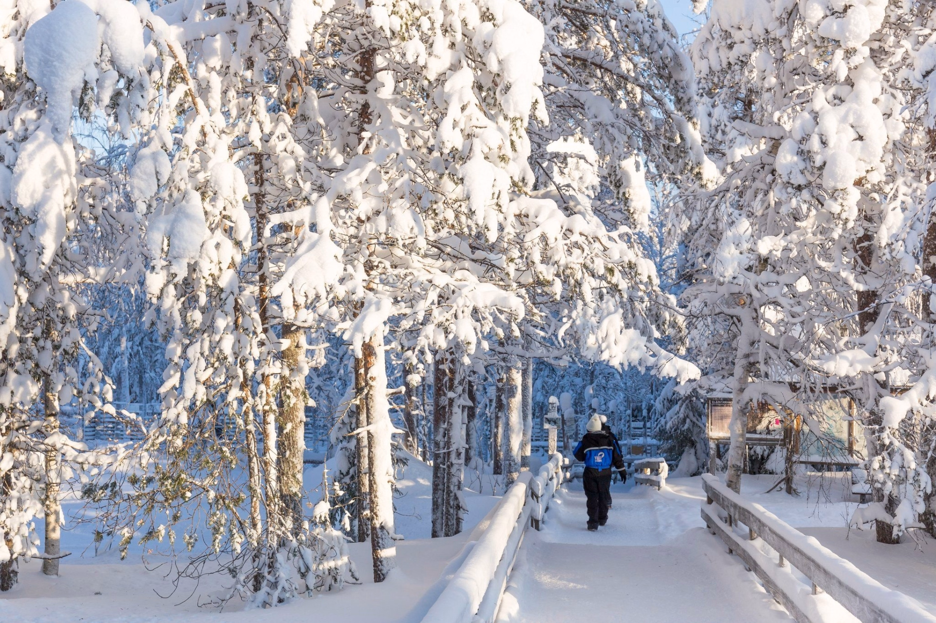 Aventures hivernales et magie de Noël en Laponie finlandaise