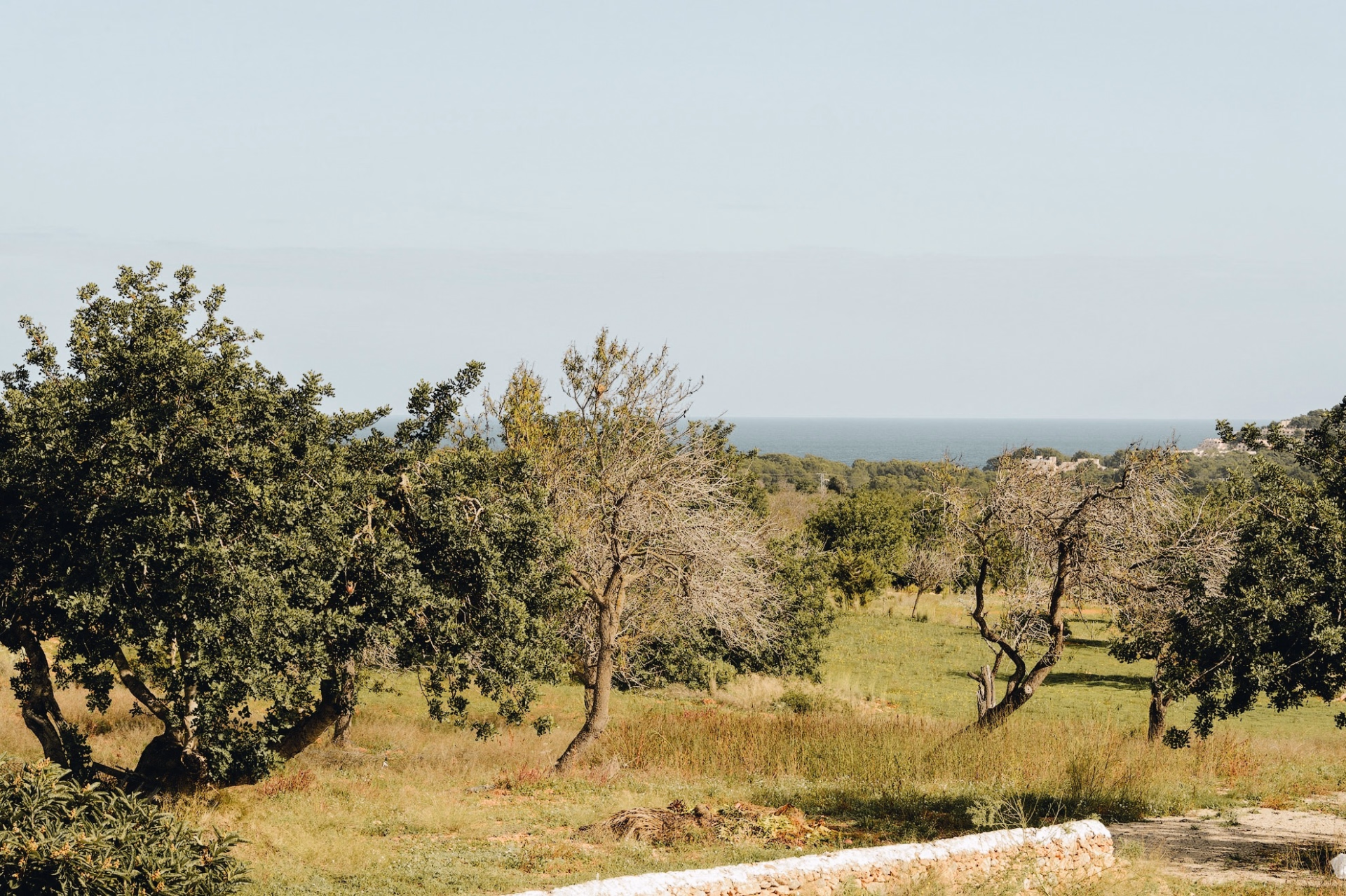 Retraite de Yoga à Ibiza