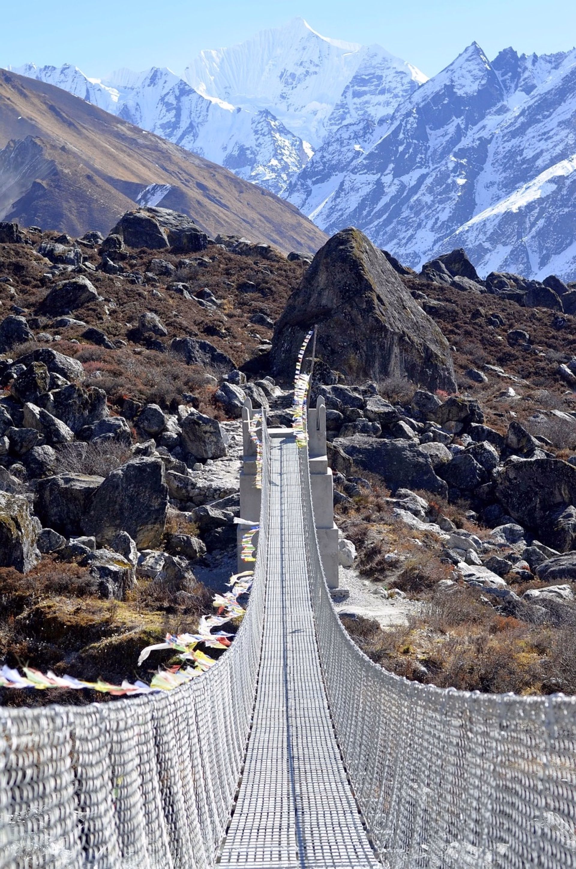 Langtang Valley Trek & Tsergo Ri (4990m) en tout inclus