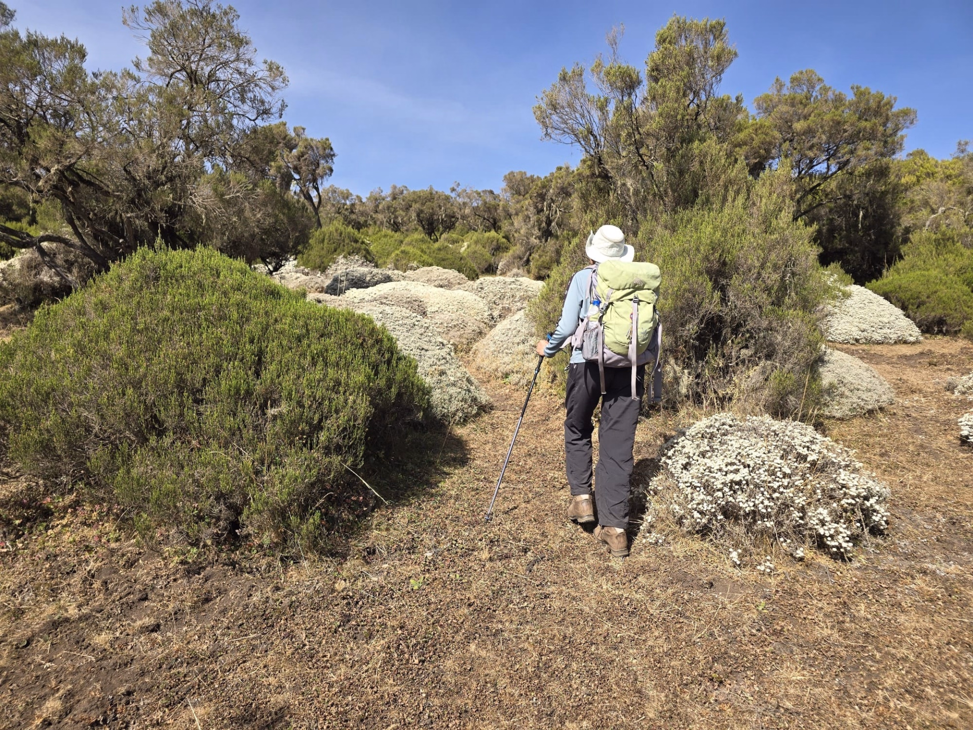 Trekking dans les montagnes de Bale, à travers tous les habitats