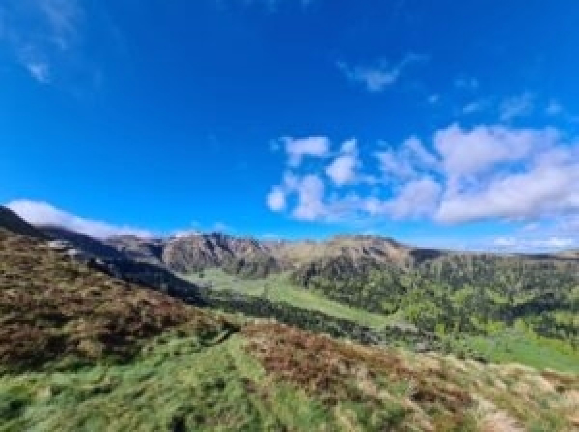 Initiation ou perfectionnement au trail dans le Puy-de-Dôme
