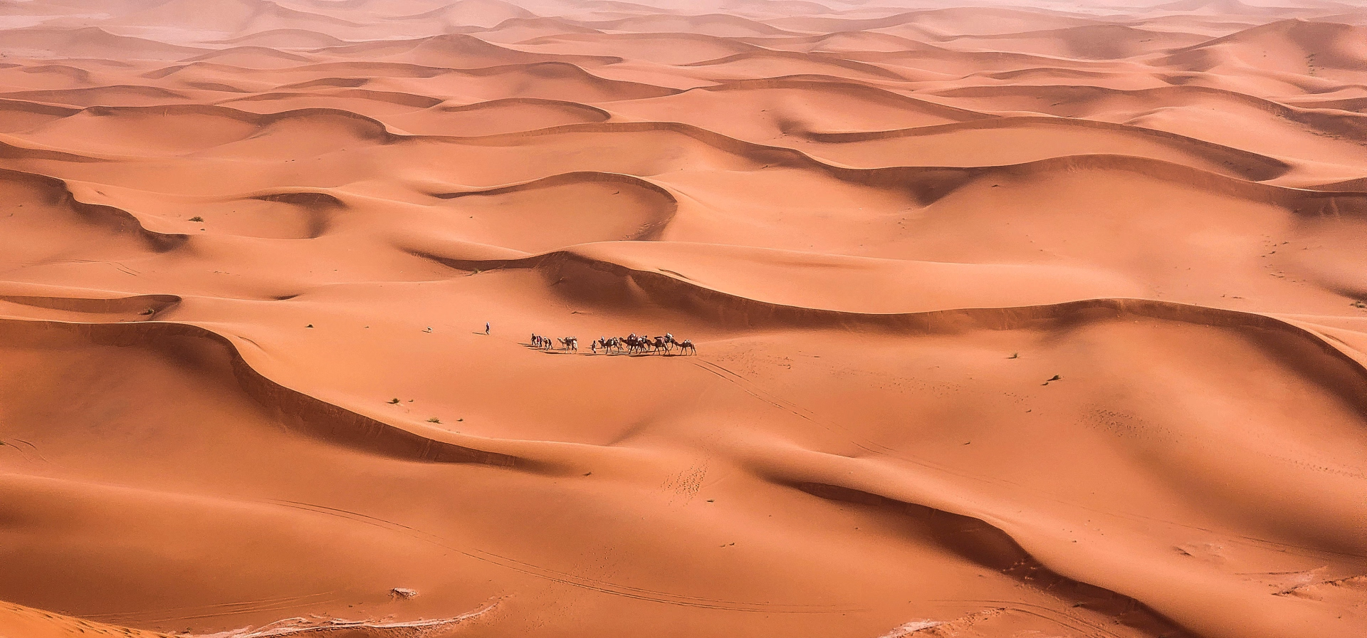 Trek de 8 jours dans le désert marocain et nuits sous les étoiles