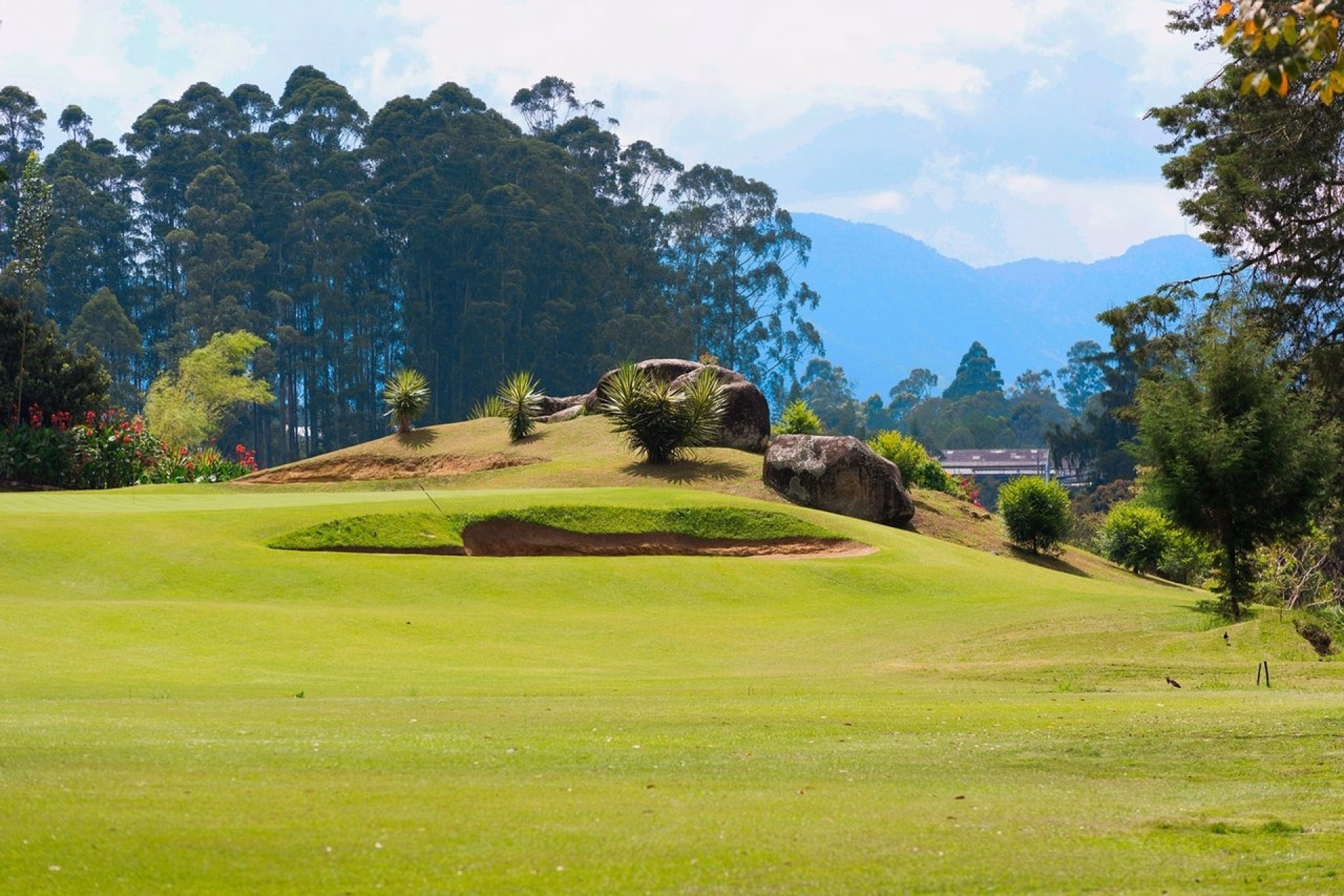 Bogotá, Medellín et Carthagène : voyage golf et culture des Caraïbes