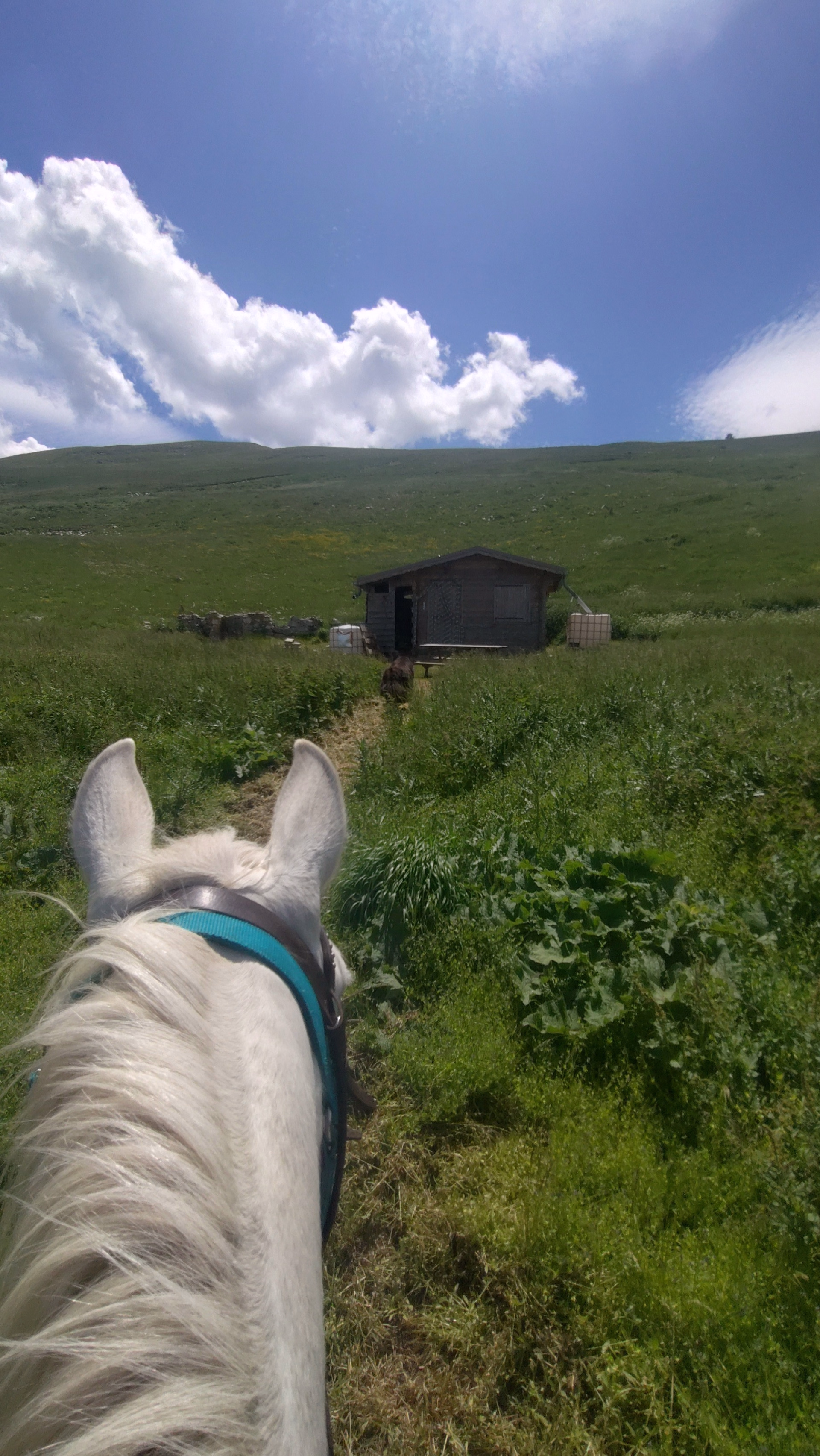 Tour des Monges à cheval