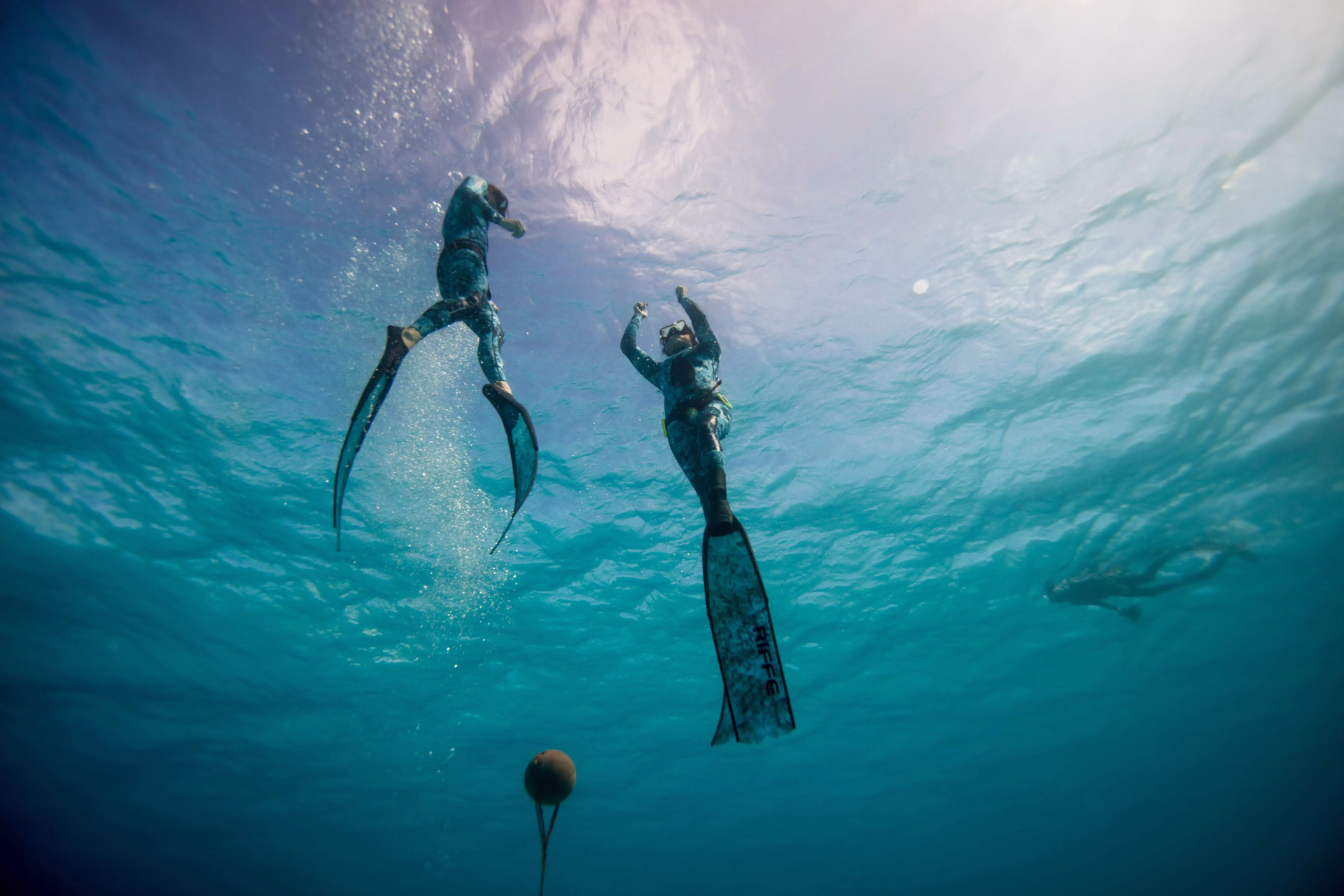 Formation Freediver PADI à Marseille