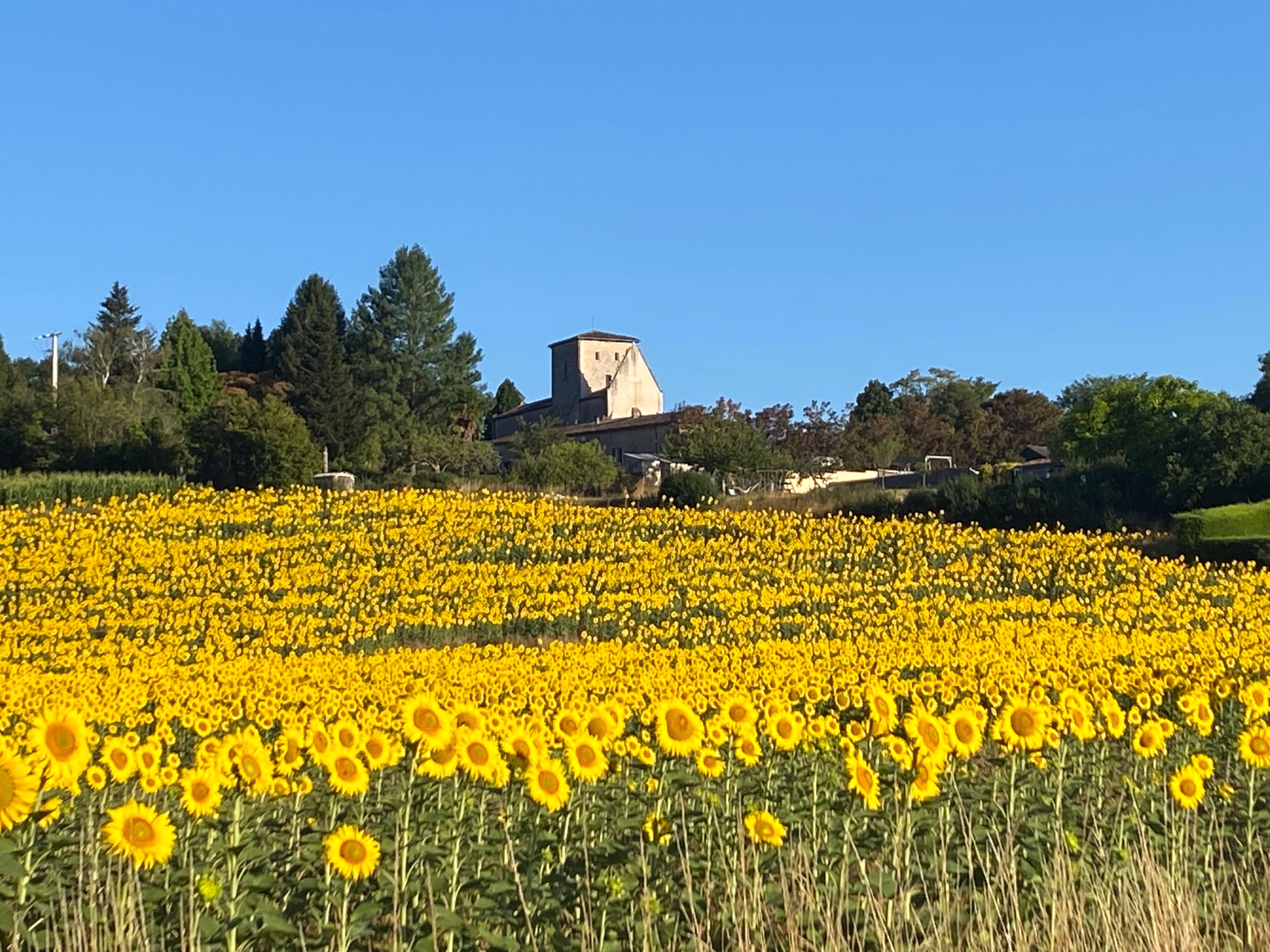 Yoga, Pilates & Bien-être en Charente-Maritime