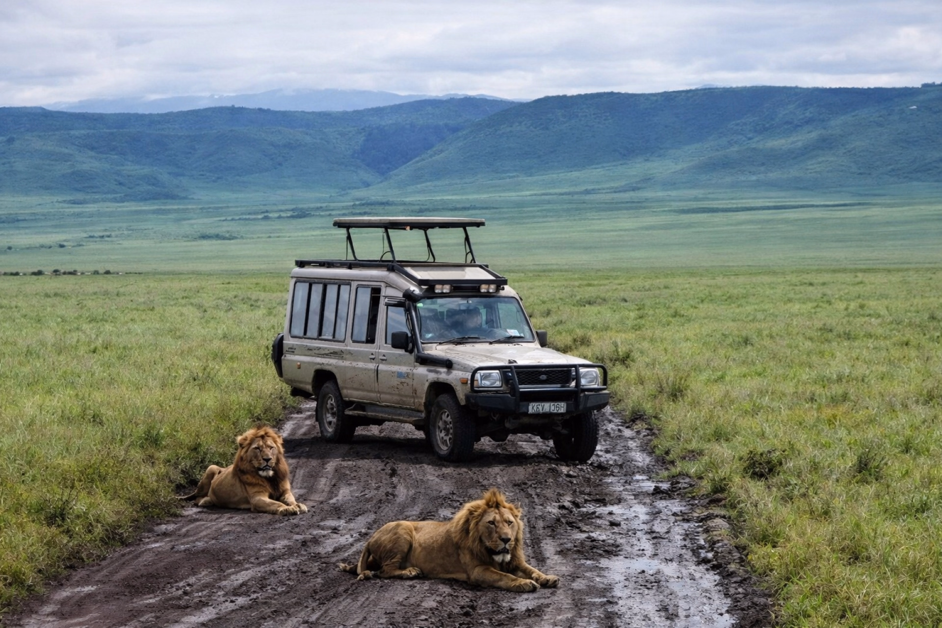 Safari express et plage à Zanzibar