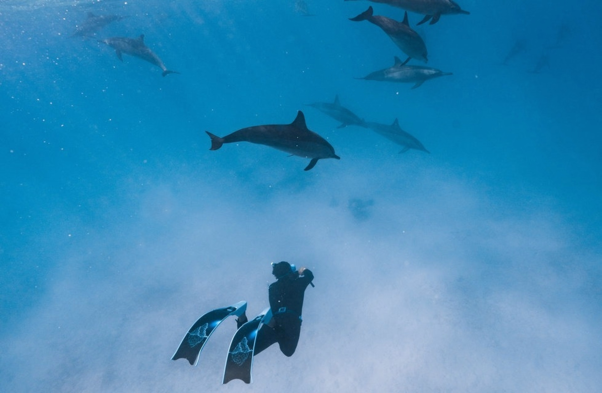 Séjour apnée et vie marine à Marsa Alam