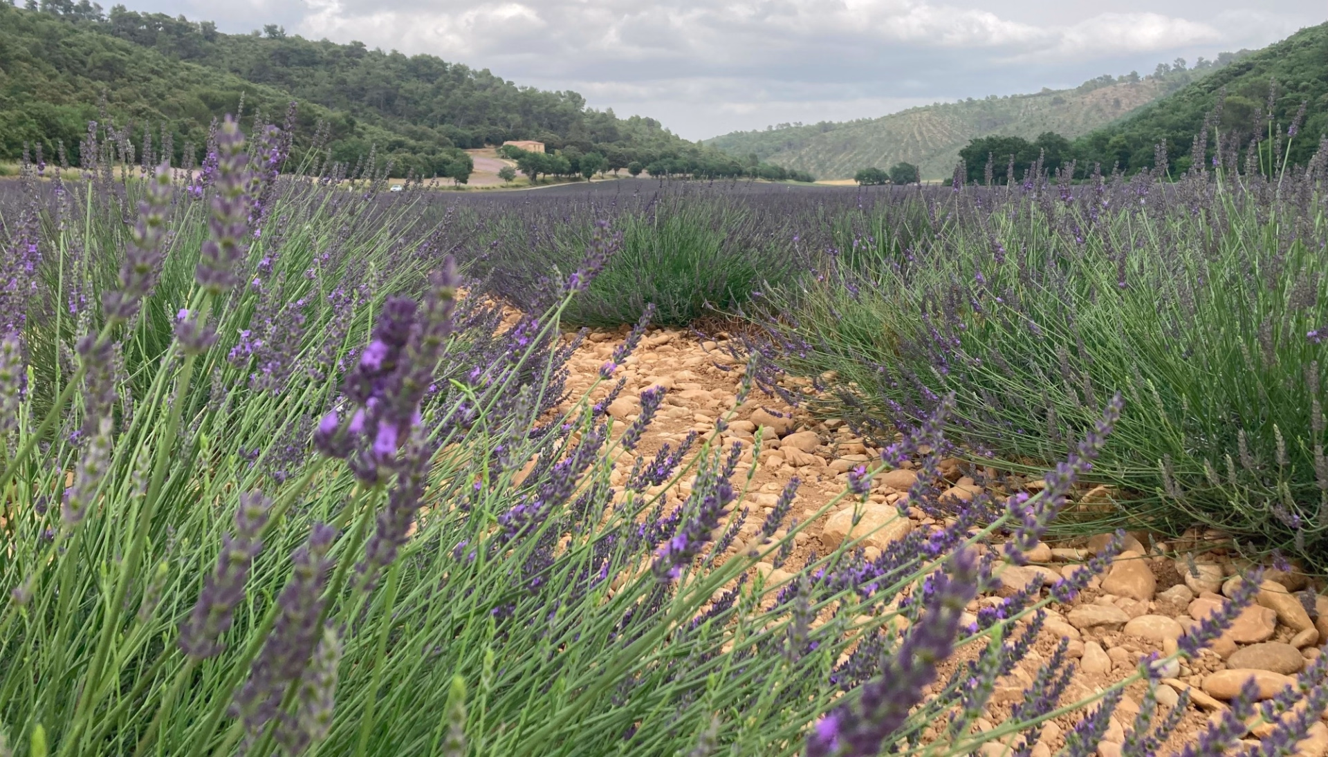 Randonnée dans les Gorges du Verdon et villages provençaux