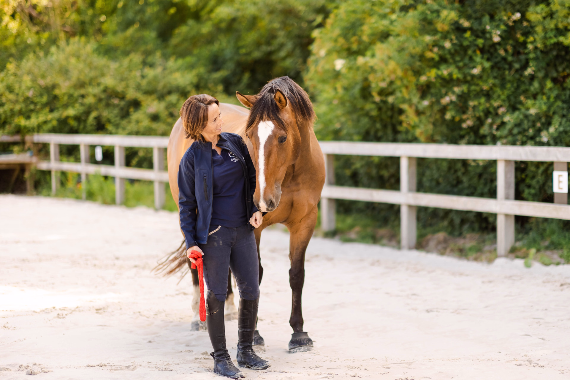 Cheval & Intuition – Retraite Immersive 3 Jours