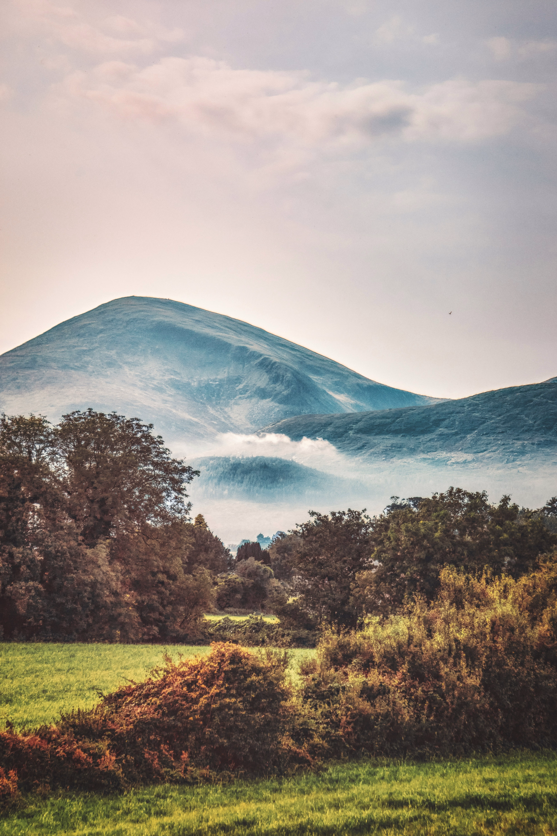 Irlande en pleine conscience