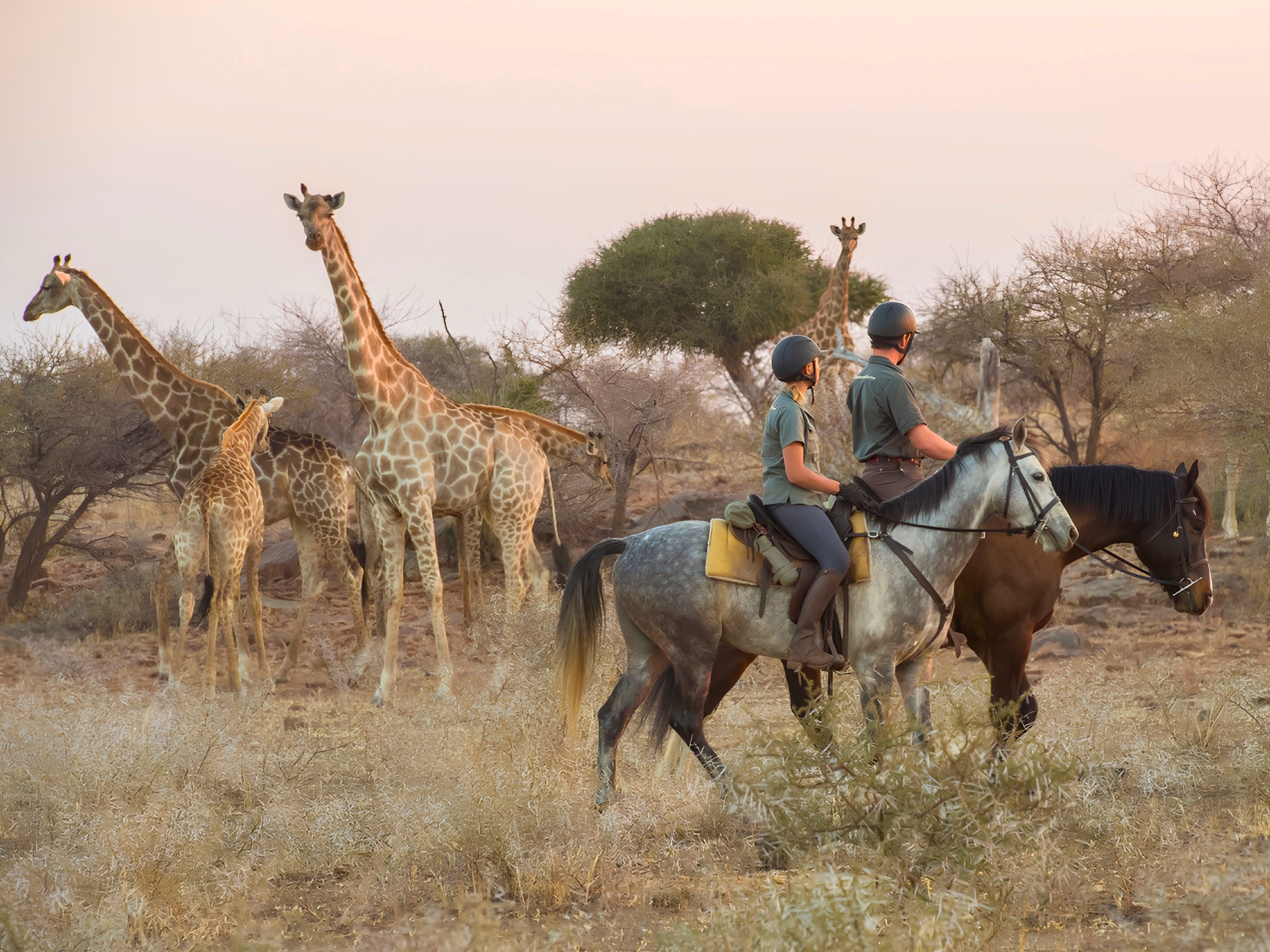 Safari à cheval, de l'Afrique du Sud au Botswana