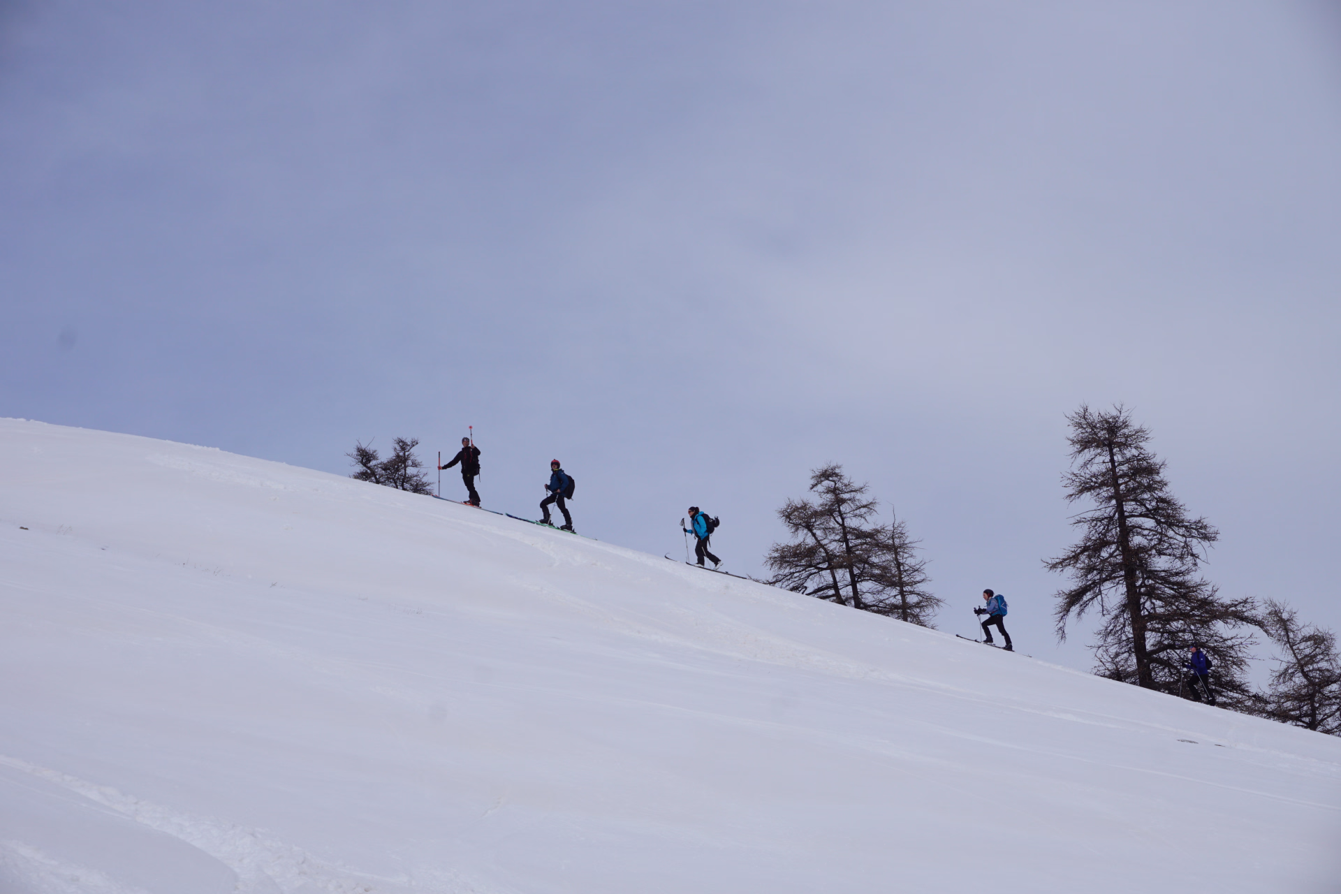 Semaine de ski nature dans la vallée préservée de la Clarée