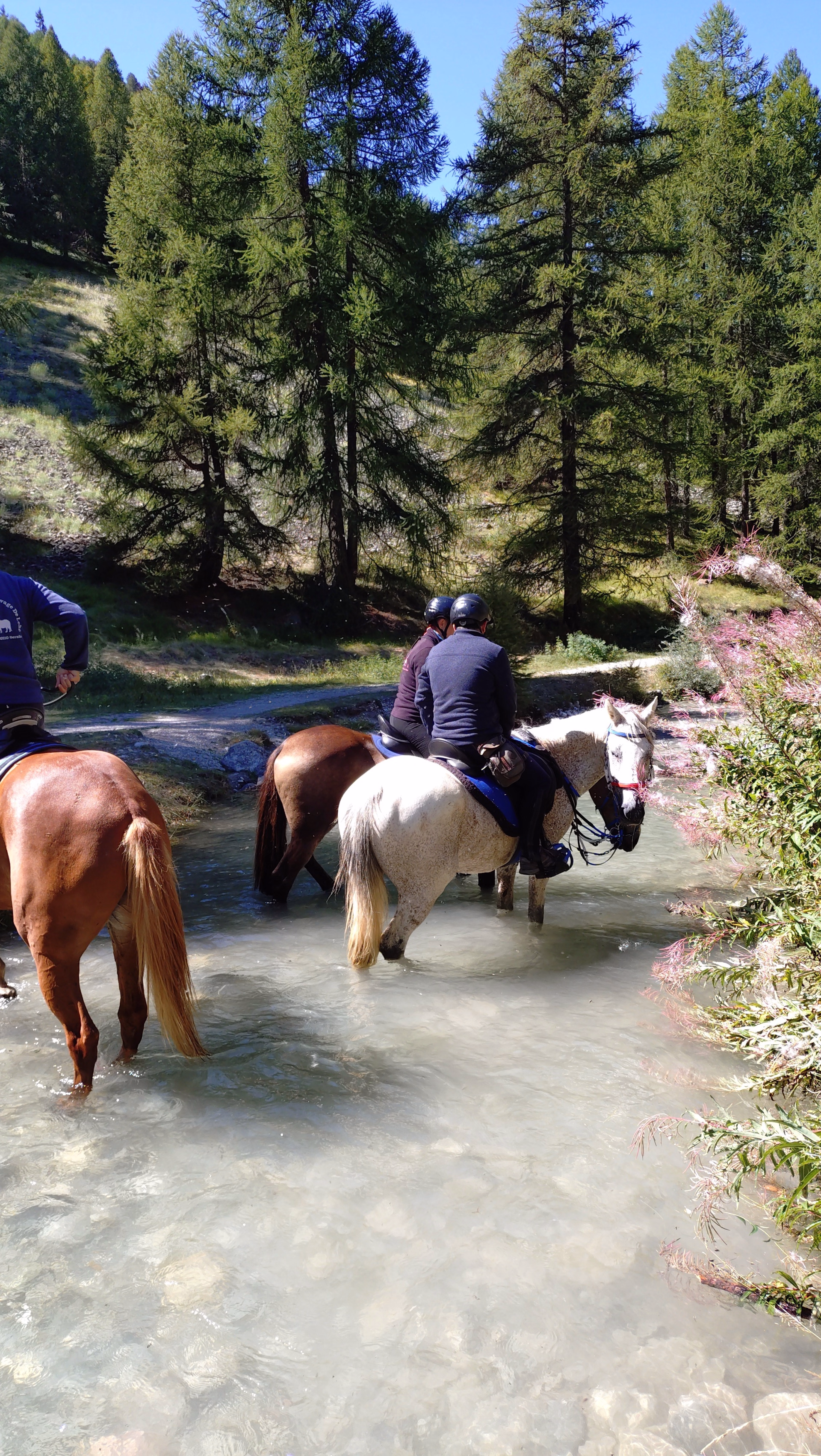 Trek des lacs et panoramas du Viso en Queyras