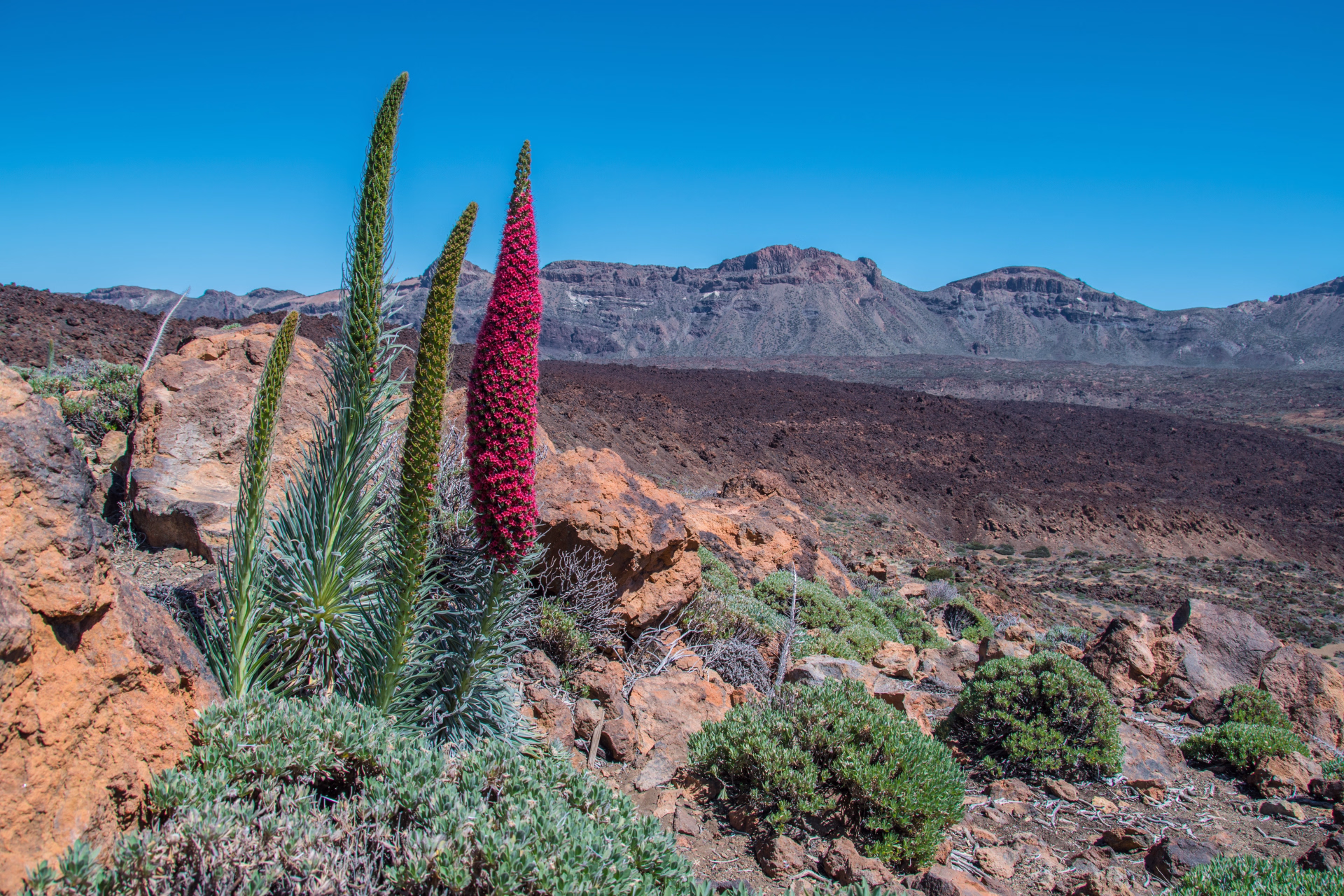 Séjour découverte de Tenerife en liberté