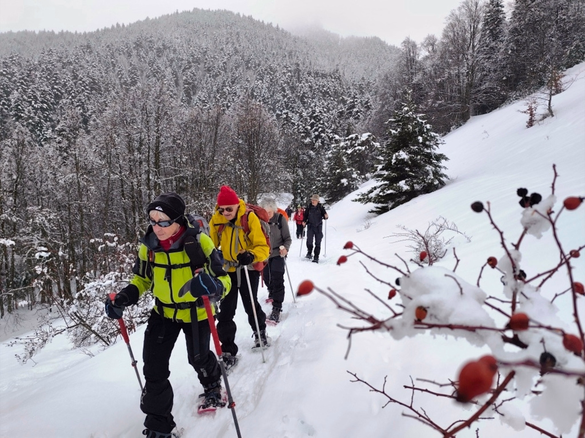 Séjour raquettes et nuits en gîte dans les Hautes-Alpes - 7 jours
