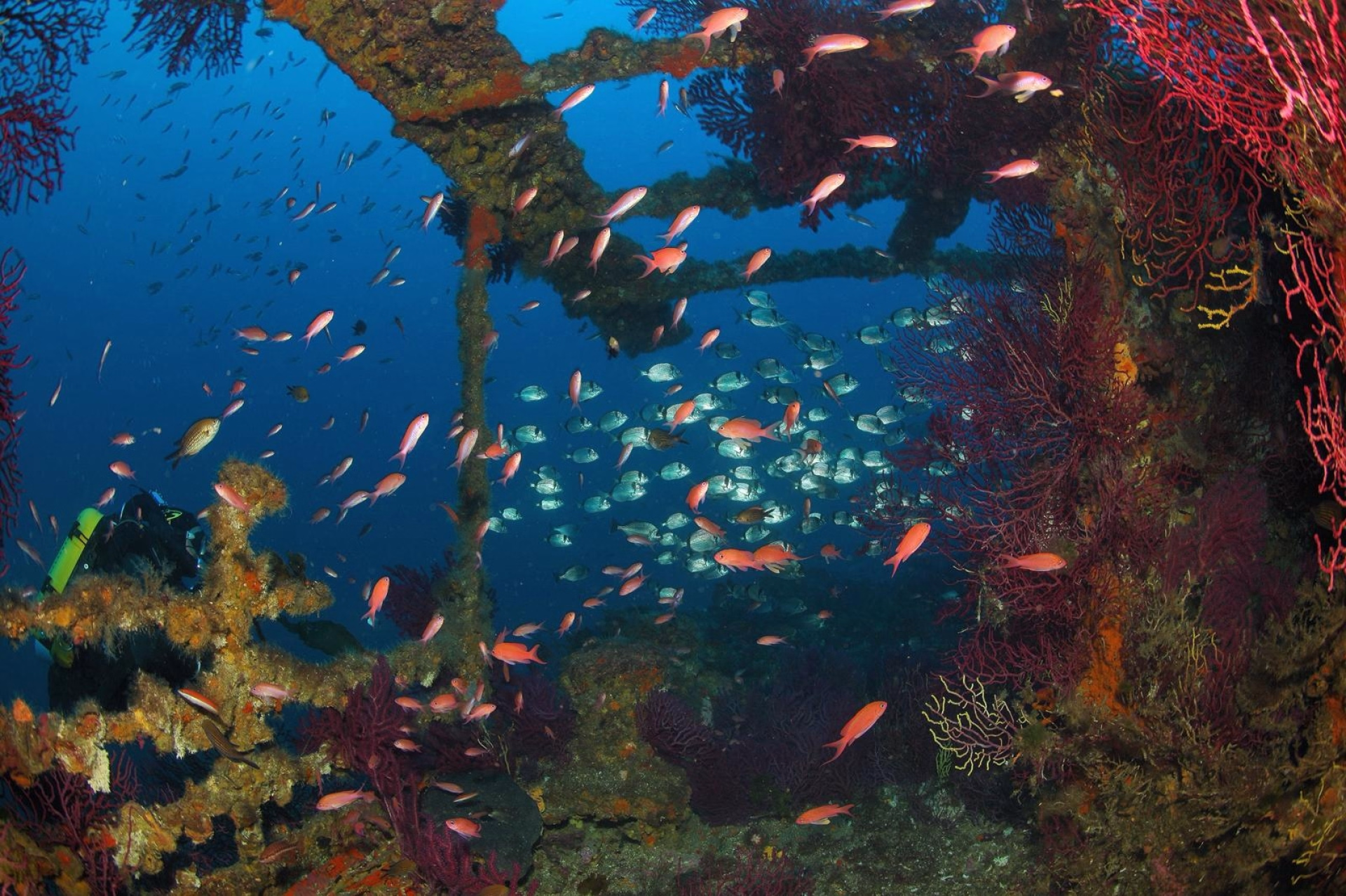 Week end stage plongée sur épave autour des îles d'Or
