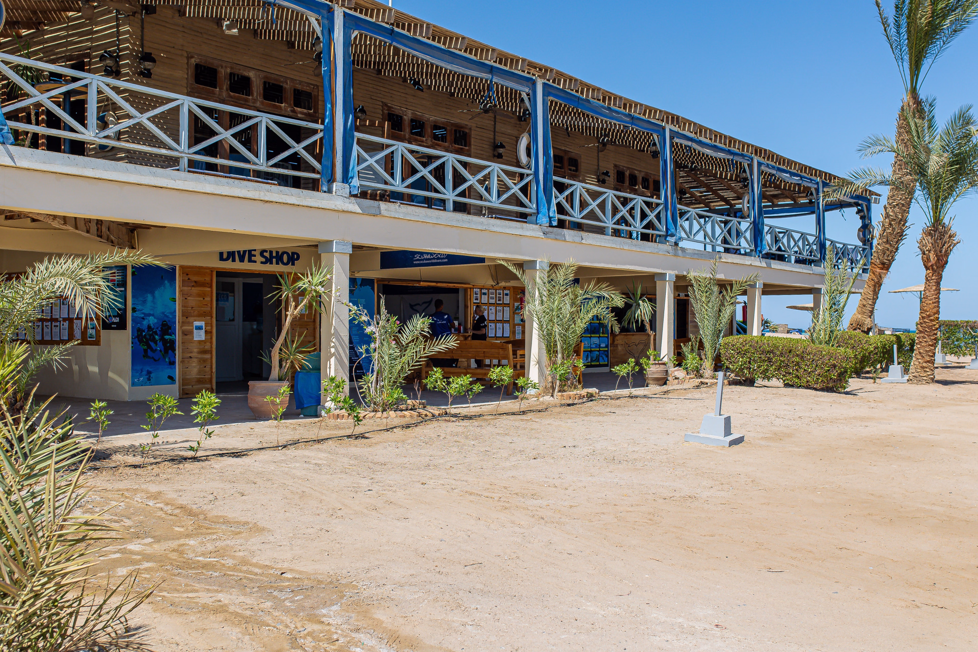 Devenez plongeur certifié en Mer Rouge - Open Water Diver à El Gouna