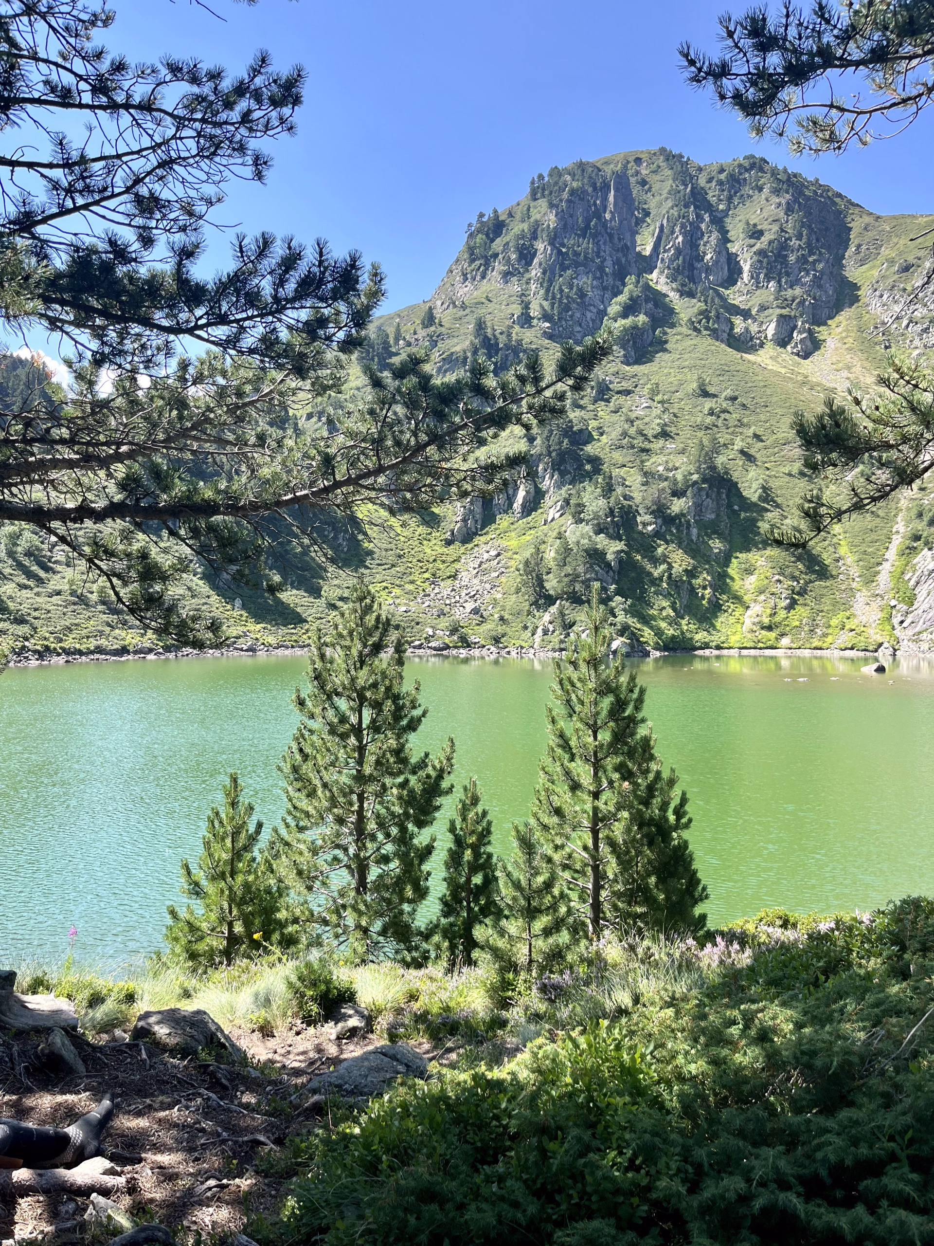 Photo paysage lac et montagne