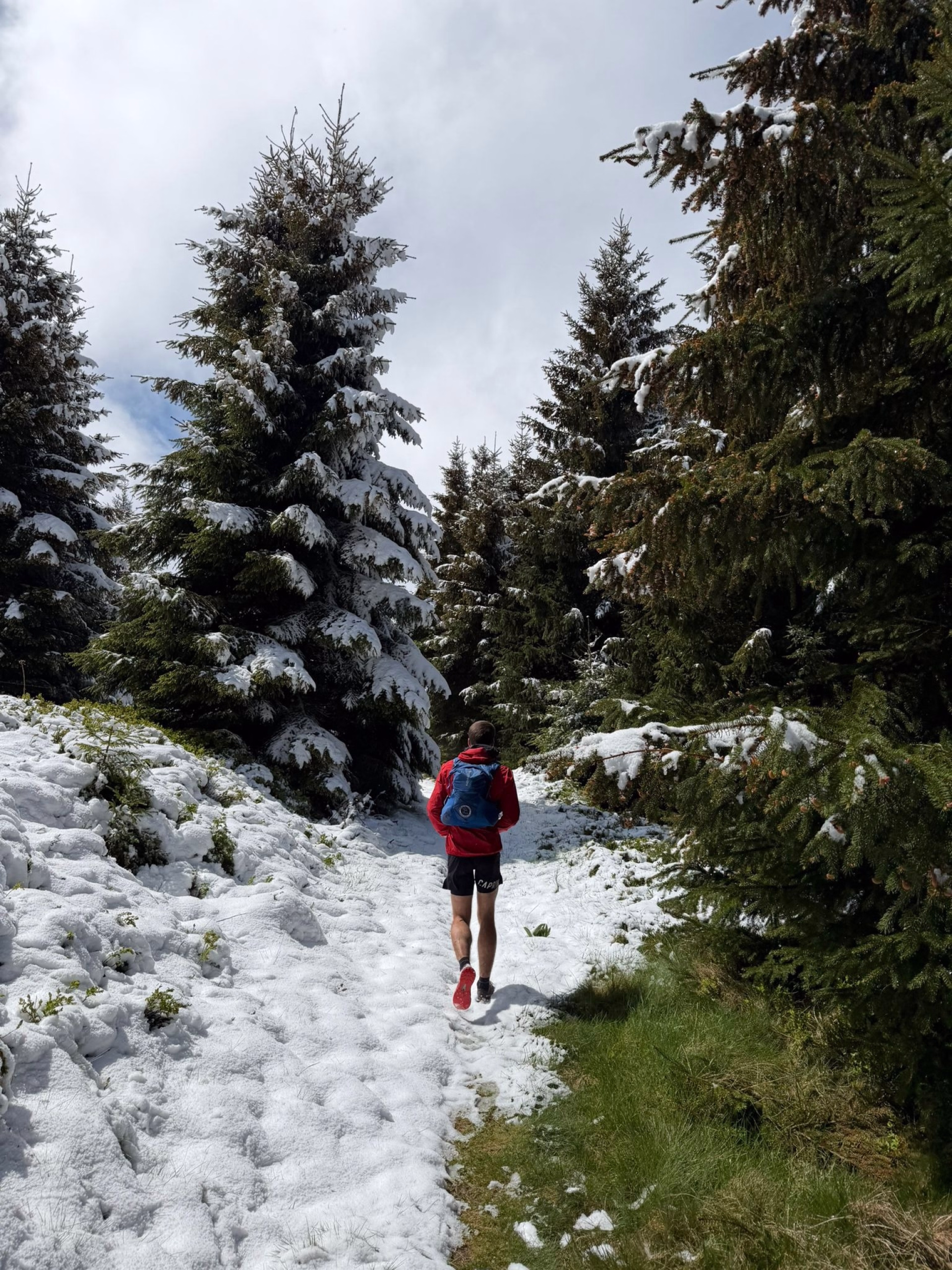 Grande traversée des Volcans d’Auvergne en trail en 4 jours