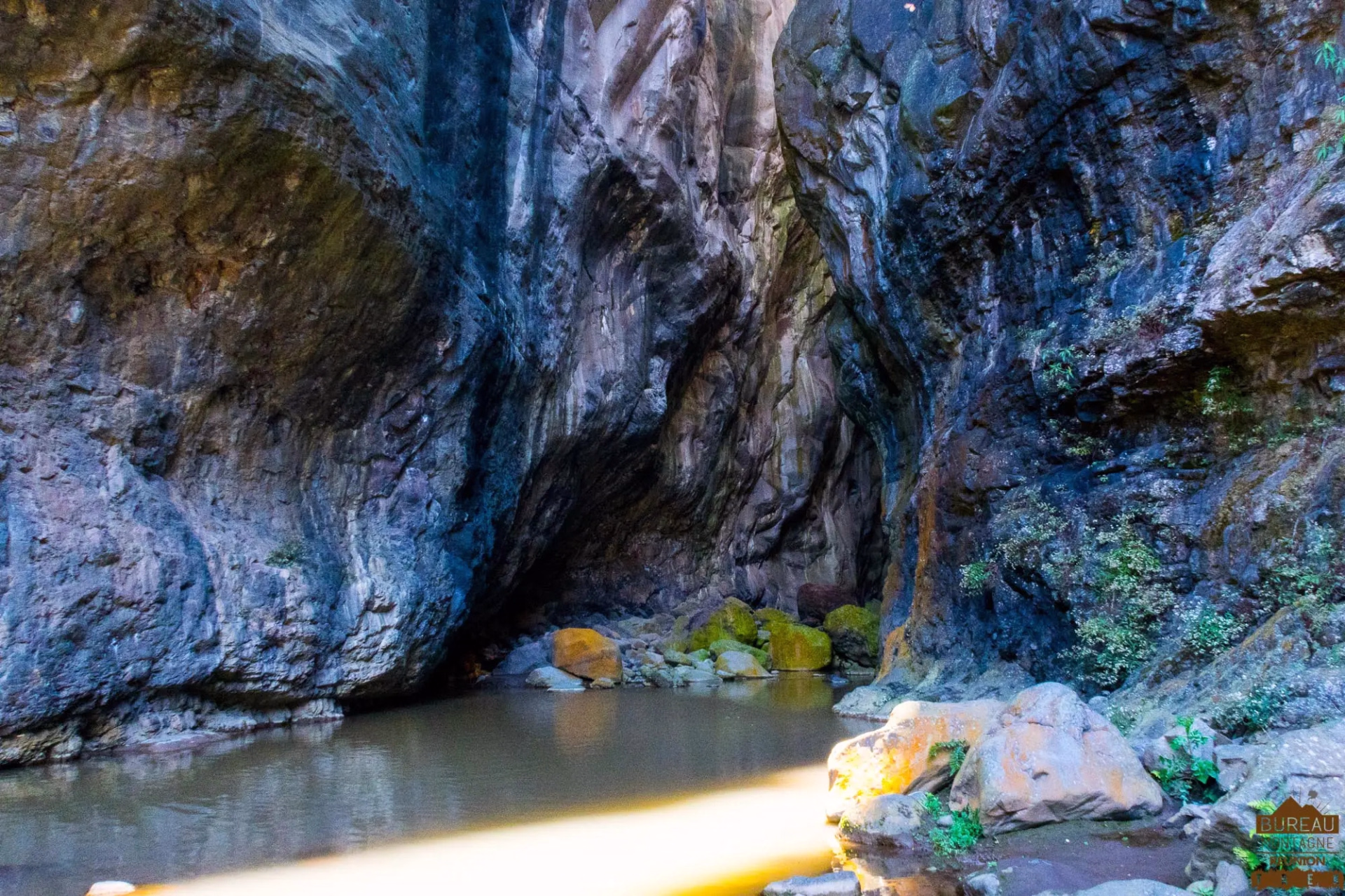 Le cœur de l'ile intense : l'essentiel de la Réunion en randonnée