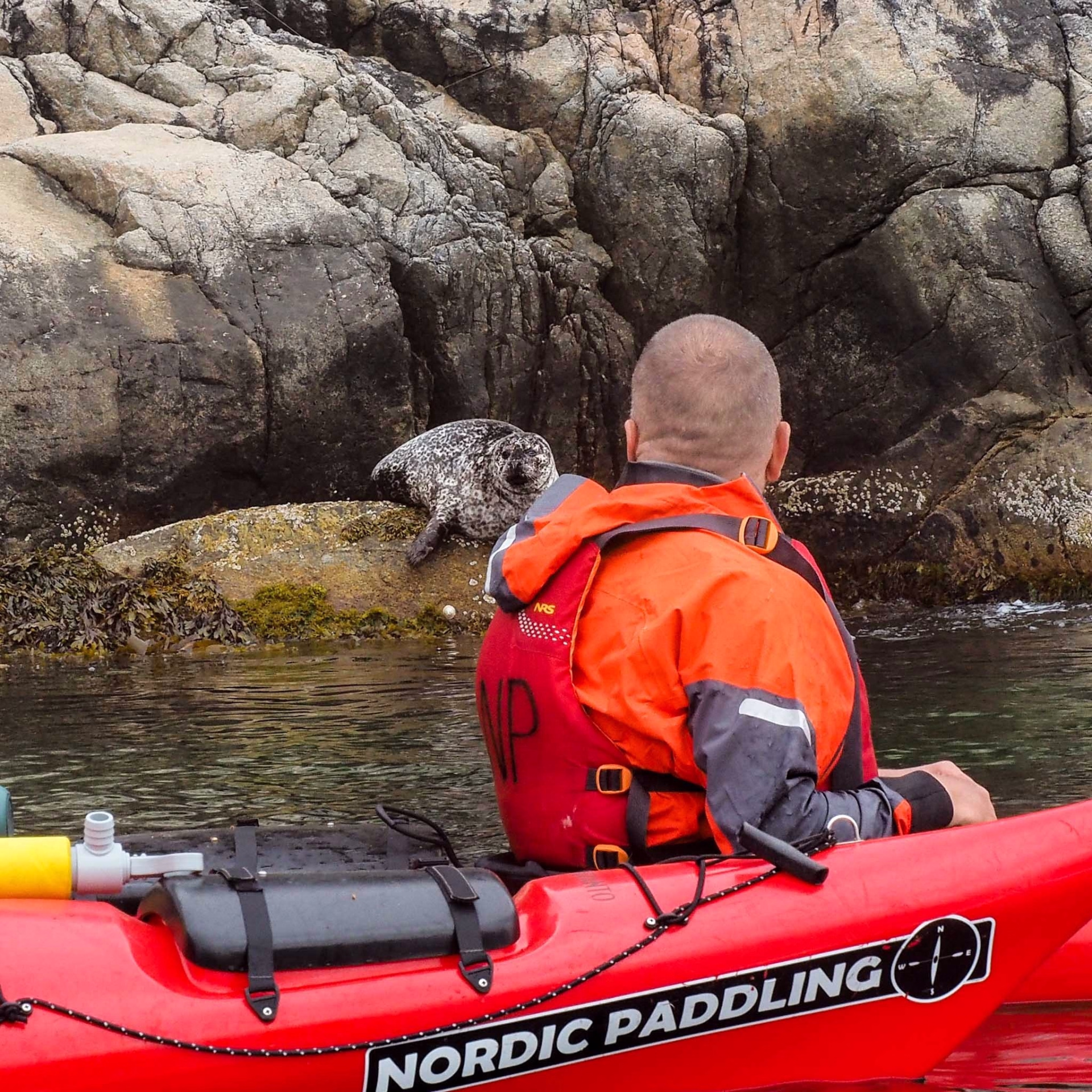 Randonnée, kayak et camping dans les fjords norvégiens