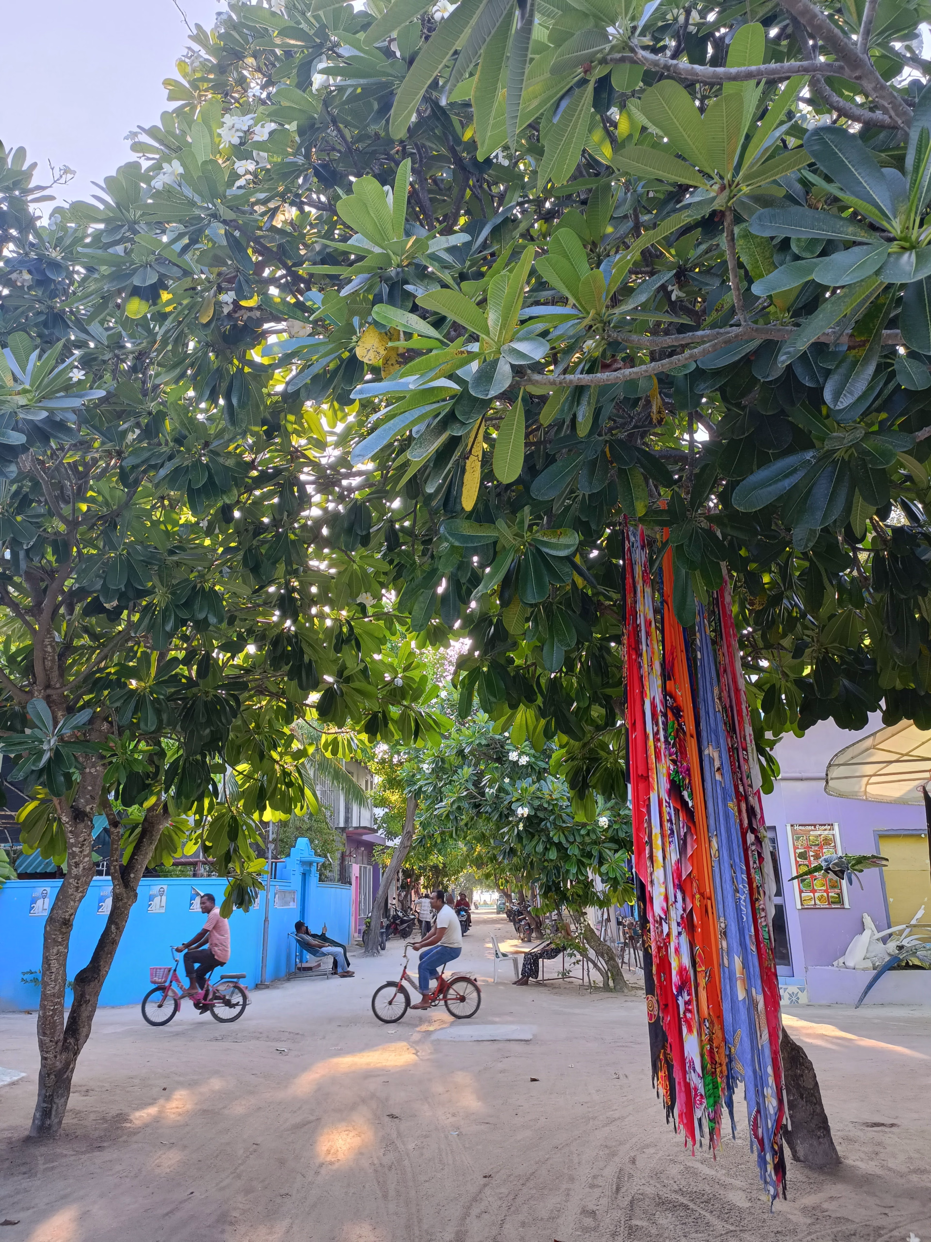 Semaine de plongée dans l'atoll d'Ari Sud sur une île locale aux Maldives