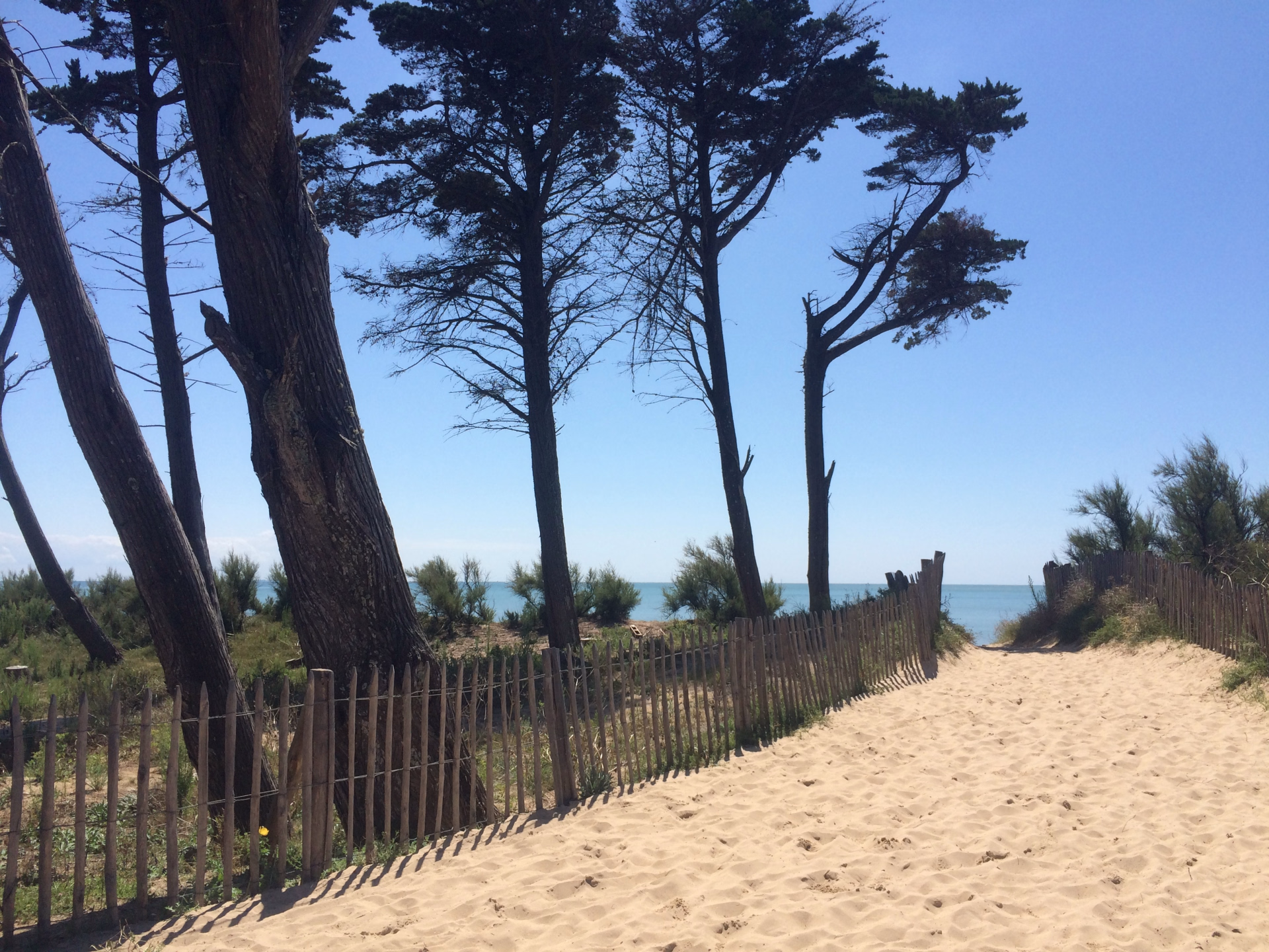 Stage kitesurf x Tribord : immersion exclusive dans le sud ouest