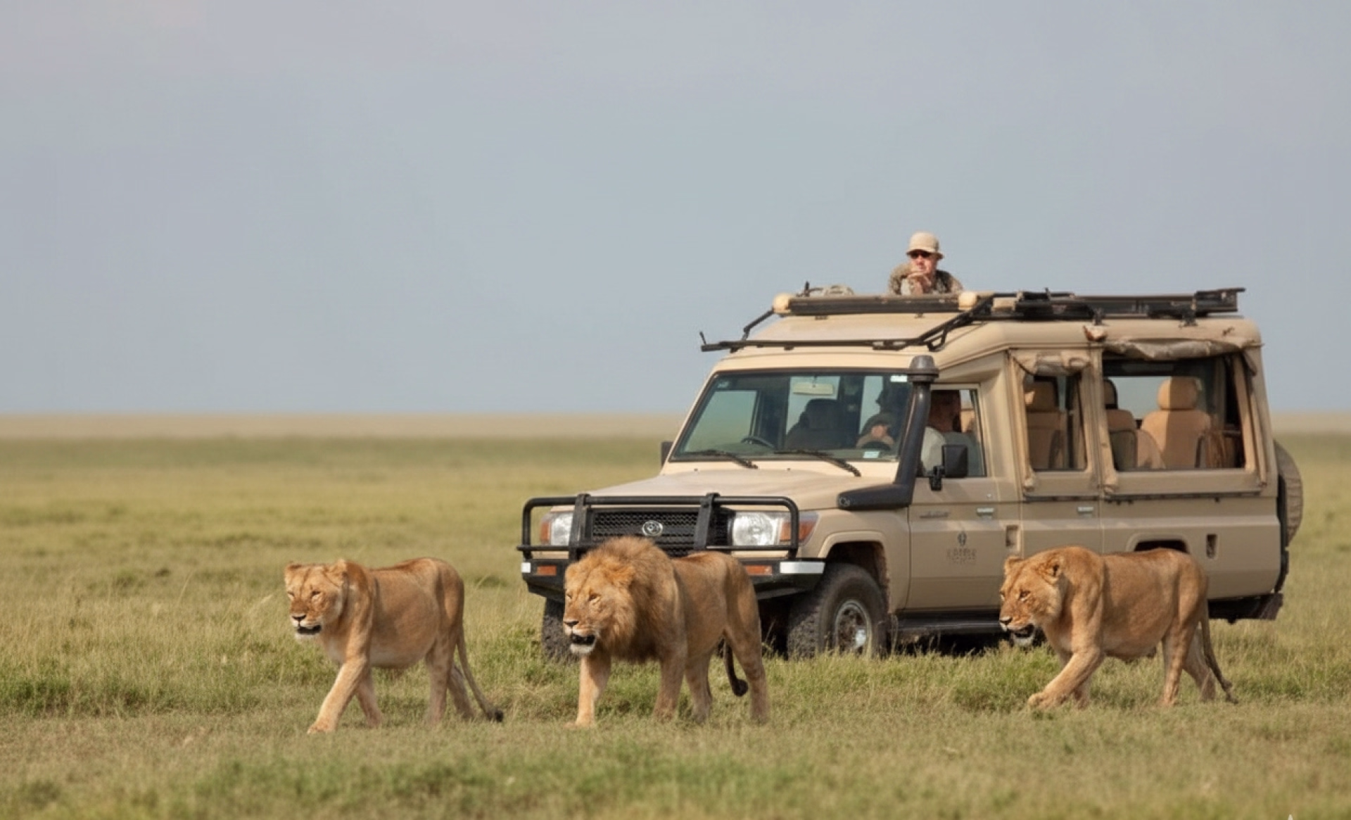 Aventure en Tanzanie : 15 jours entre safaris et terres massai