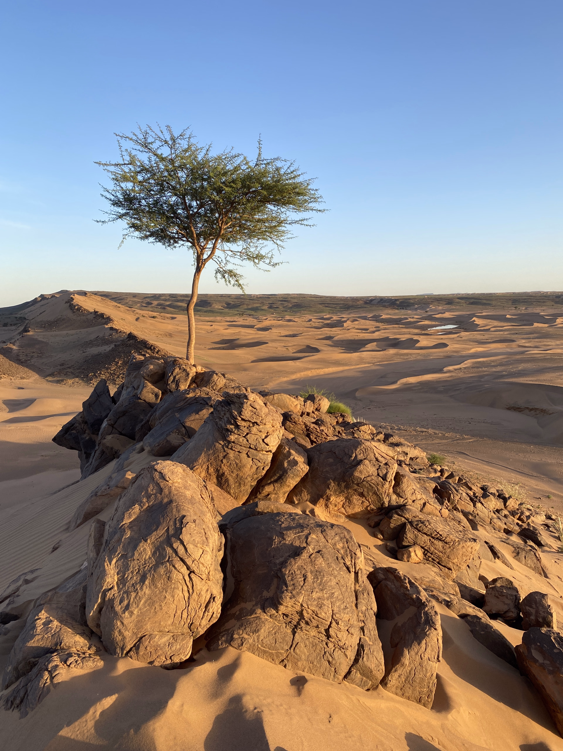Trekking au Maroc