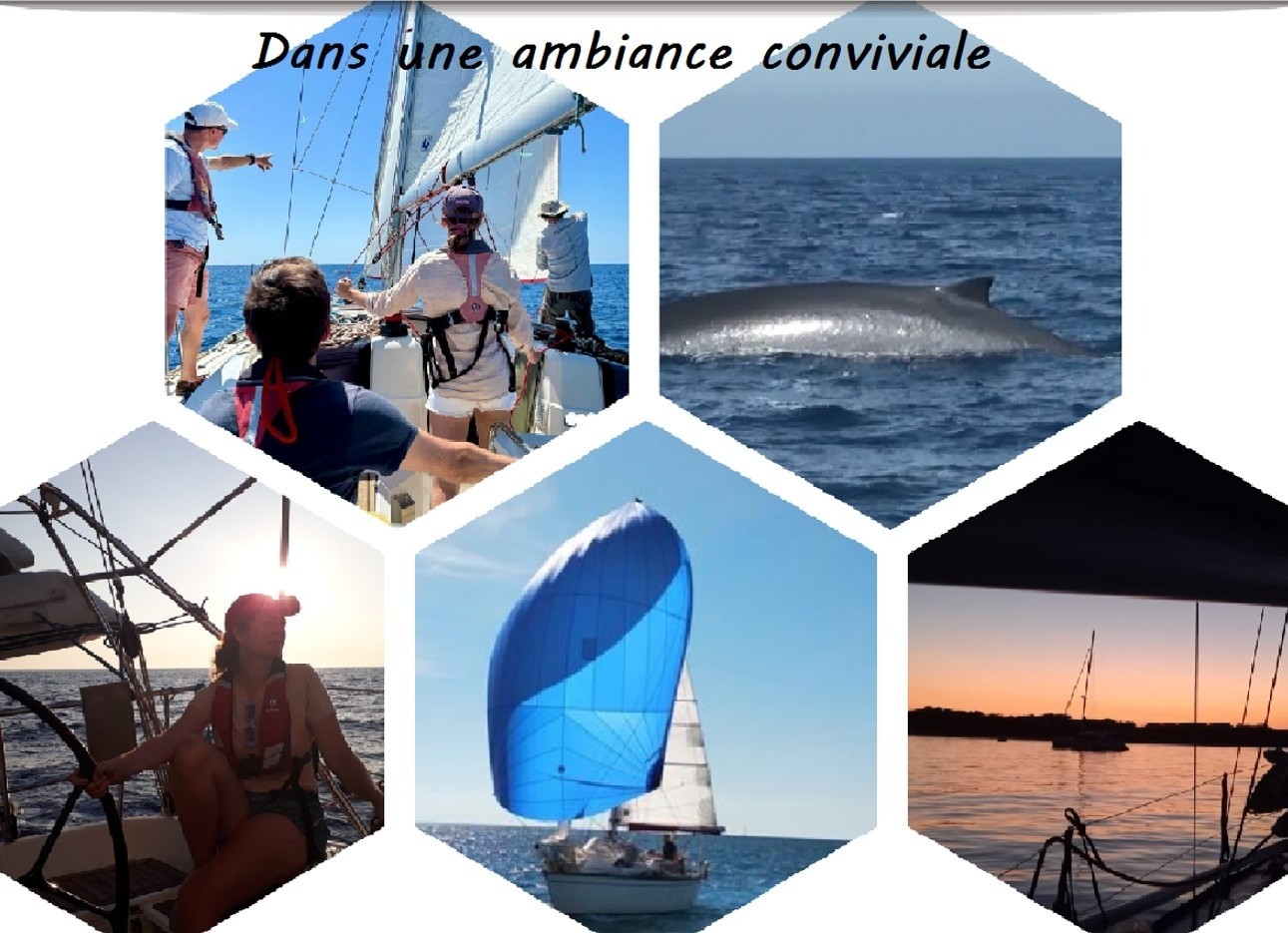 L'agence de Stéphane