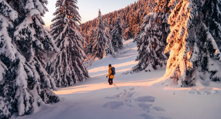 Que faire en été en Laponie ? Et en hiver ?