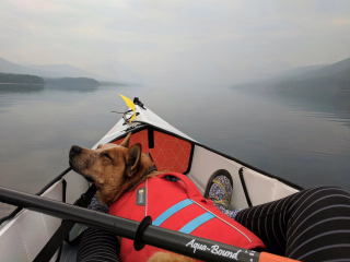 canoe avec son chien