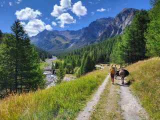 Le GR5 par le Queyras