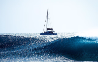 Vivez la magie de la Route du Rhum 2026 : un voyage entre passion, compétition et découverte