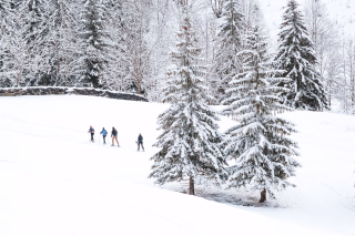 Les meilleures stations de ski pour débuter en raquettes en France