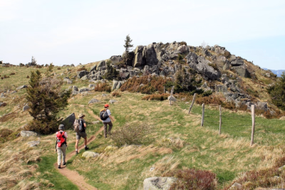 Séjour Randonnée Inoubliable dans les Vosges : Évasion Nature