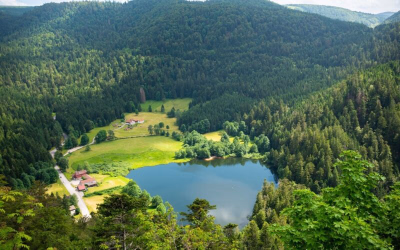 Trail running Vosges