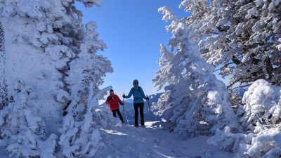 Yoga × Massif du Vercors