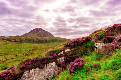 Paysage du Connemara en Irlande@ pixabay