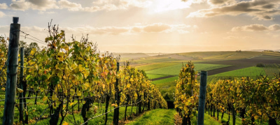 Séjour Randonnée en Bourgogne : Patrimoine et Paysages Éblouissants