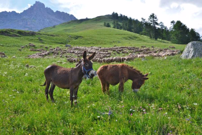 Découvrez nos voyages sportifs à Névache pour vos prochaines vacances
