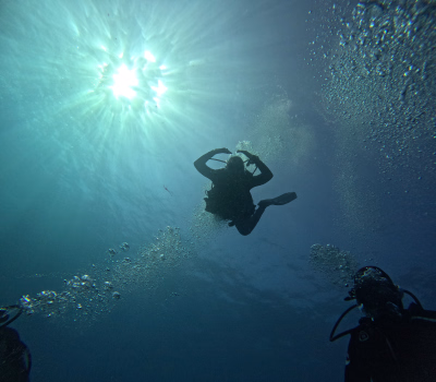 Séjour Plongée aux Canaries : Explorez des Trésors Sous-Marins