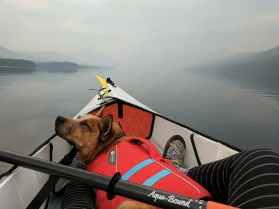 canoe avec son chien
