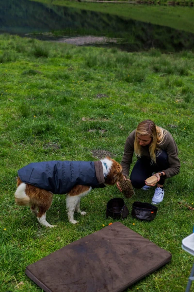 Séjour nature avec votre compagnon à quatre pattes