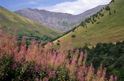 Séjours vélo en Isère
