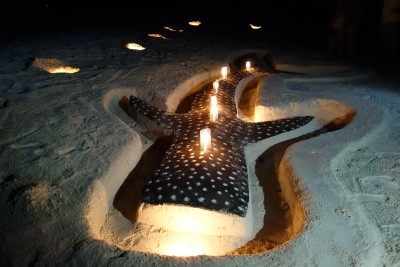 Barbecue sur une île déserte, à la lueur des bougies