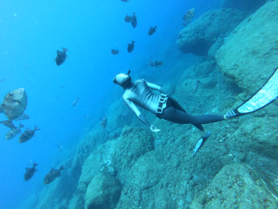 Nos séjours et stages d'apnée aux Canaries