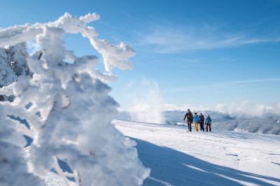 Ski de randonnée nordique